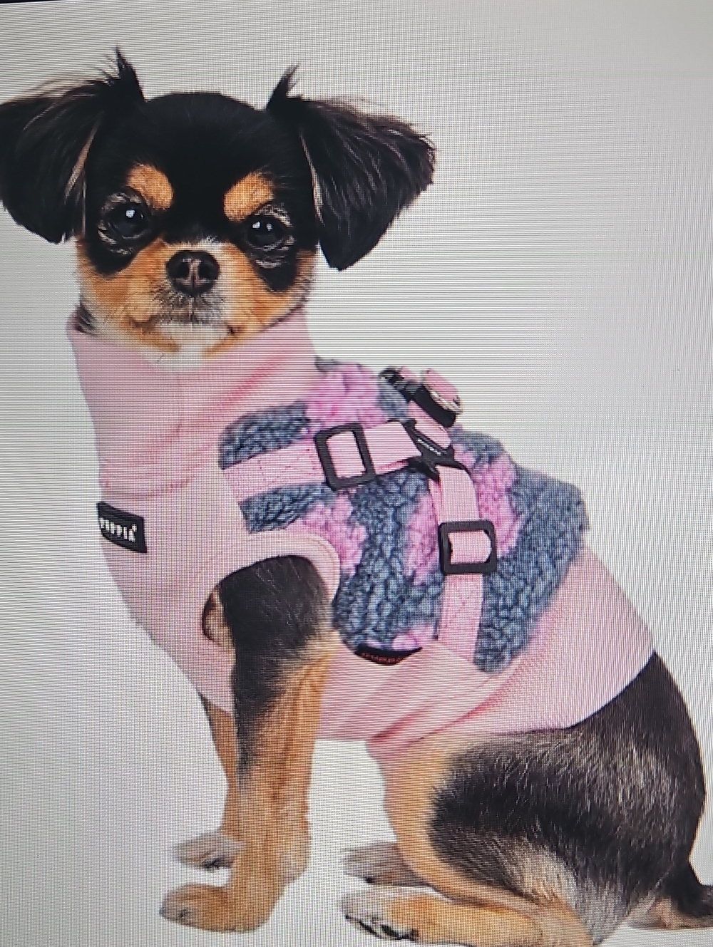 NWT Puppia Ren JACKET Pink and Gray Sherpa Harness Vest PULLOVER Dogs XL Warm